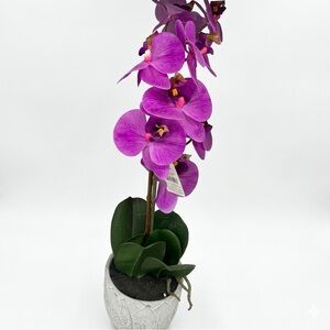 Vibrant Purple Orchid in Textured White Pot